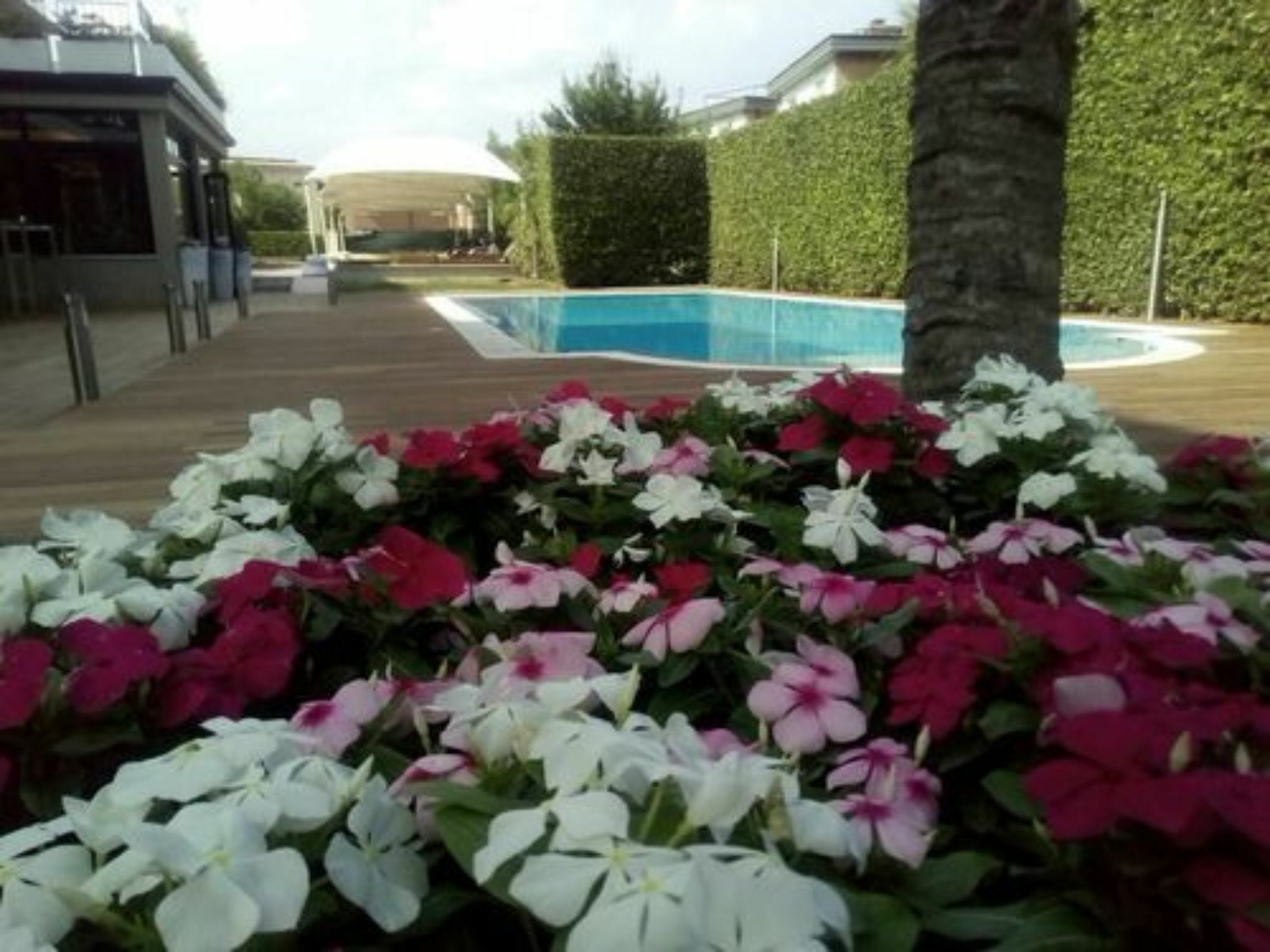 Hotel Palazzo Del Garda & 4*